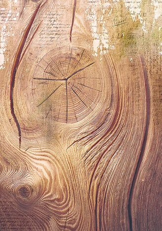 Ciao Bella Winter Wonderland A5 Rice Paper Mixed (8pcs) (CBRS002) (DISCONTINUED) Ciao Bella Winter Wonderland A5 Rice Paper Mixed (8pcs) (CBRS002) (DISCONTINUED)