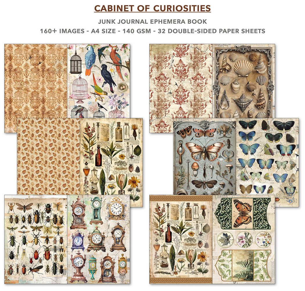Ciao Bella Cabinet of Curiosities A4 Junk Journal Ephemera Book (32pcs) (CBB002)