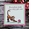 Creative Expressions Designer Boutique Clear Stamp A5 Feline Good! (UMSDB178) (DISCONTINUED) Creative Expressions Designer Boutique Clear Stamp A5 Feline Good! (UMSDB178) (DISCONTINUED)