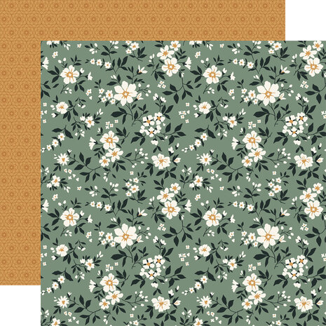 Echo Park Family 12x12 Inch Collection Kit (FAM403016) Echo Park Family 12x12 Inch Collection Kit (FAM403016)