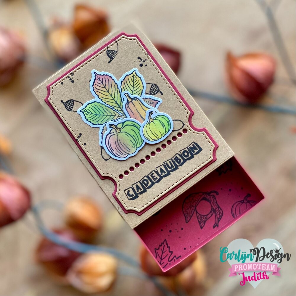 CarlijnDesign Clear Stamps Cadeaubon Kerst (CDST-0132)