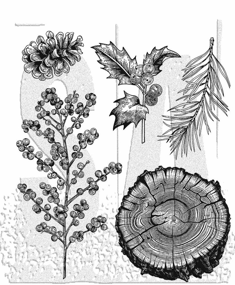 Stampers Anonymous Forest Floor 2 Tim Holtz Cling Stamps (CMS497) Stampers Anonymous Forest Floor 2 Tim Holtz Cling Stamps (CMS497)