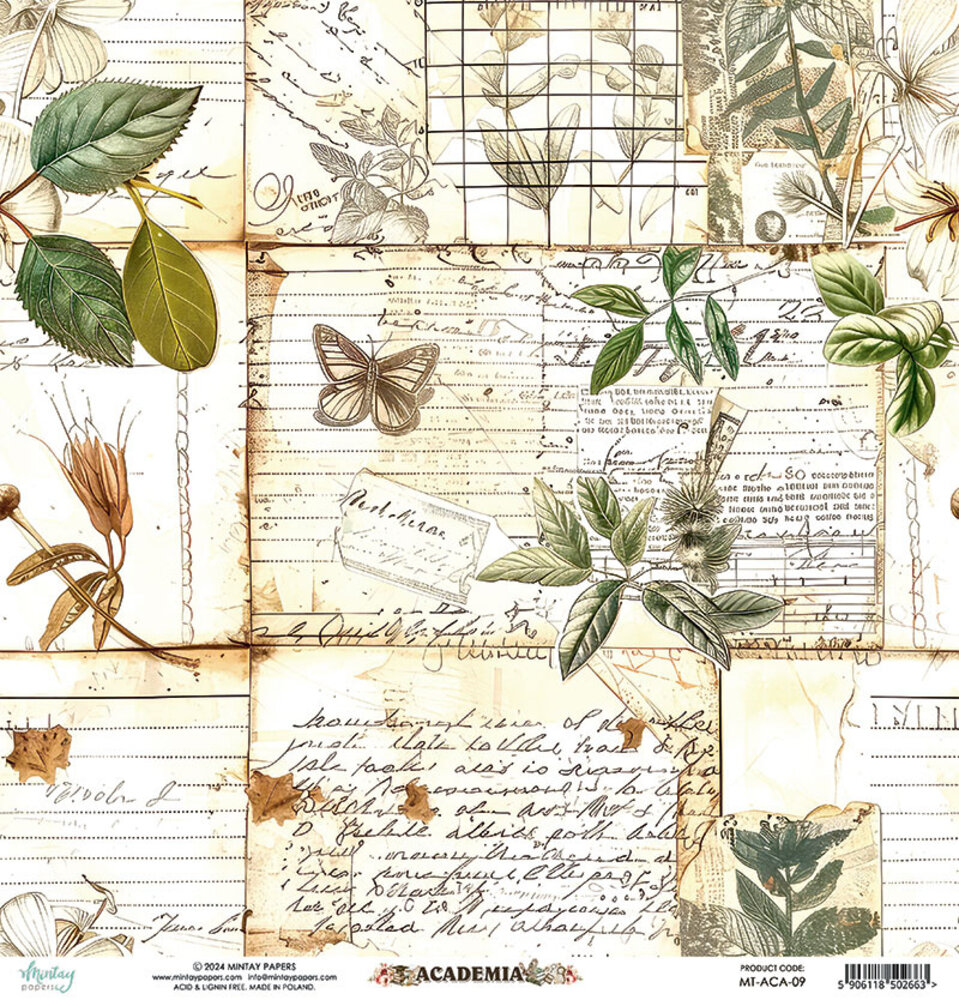 Mintay Academia 12x12 Inch Paper Elements (MT-ACA-09)