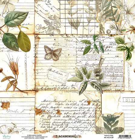 Mintay Academia 12x12 Inch Paper Elements (MT-ACA-09)