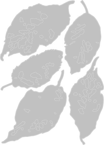 Sizzix Thinlits Die by Tim Holtz Leaf Fragments (5pcs) (665559)