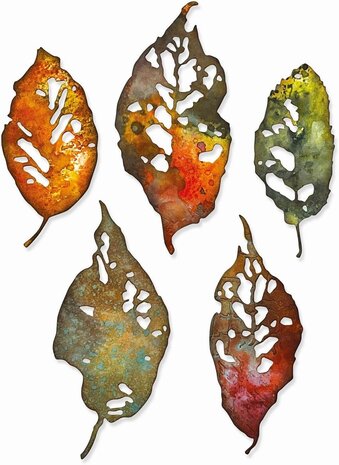 Sizzix Thinlits Die by Tim Holtz Leaf Fragments (5pcs) (665559)