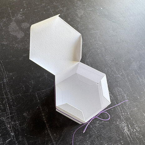 Simple and Basic Hexagon Box Dies (SBD499)