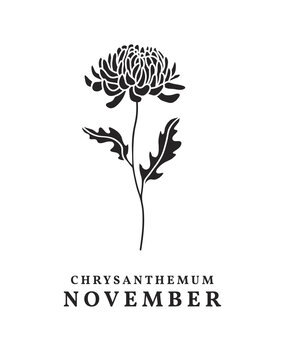 Spellbinders November Chrysanthemum Press Plates (BP-255) Spellbinders November Chrysanthemum Press Plates (BP-255)