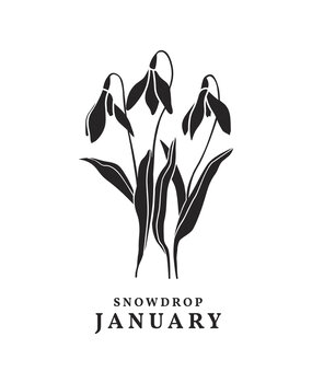 Spellbinders January Snowdrop Press Plates (BP-245) Spellbinders January Snowdrop Press Plates (BP-245)