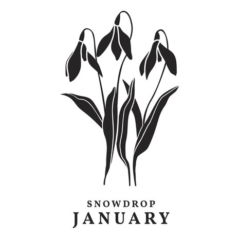 Spellbinders January Snowdrop Press Plates (BP-245) Spellbinders January Snowdrop Press Plates (BP-245)