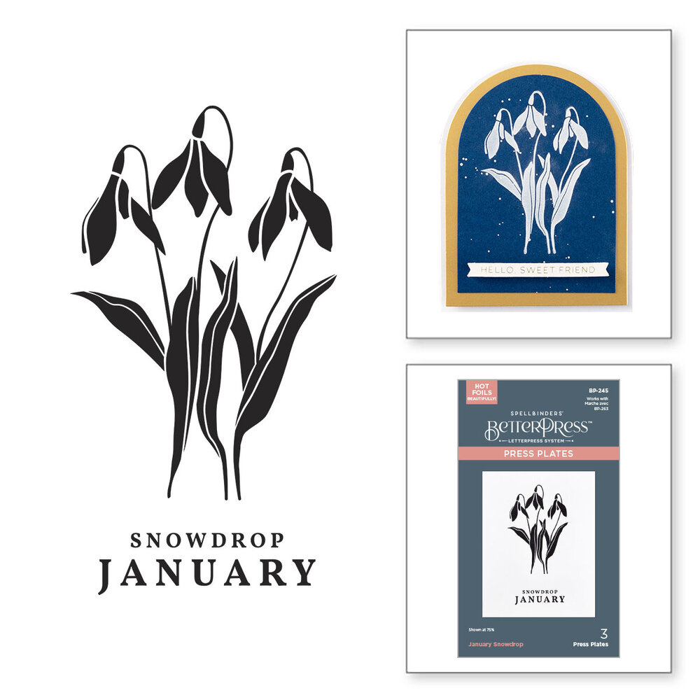 Spellbinders January Snowdrop Press Plates (BP-245) Spellbinders January Snowdrop Press Plates (BP-245)