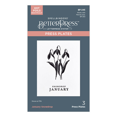 Spellbinders January Snowdrop Press Plates (BP-245) Spellbinders January Snowdrop Press Plates (BP-245)