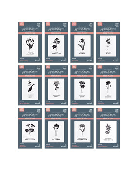 Spellbinders Florals Through the Year BetterPress Plates Bundle (BD-0910) Spellbinders Florals Through the Year BetterPress Plates Bundle (BD-0910)