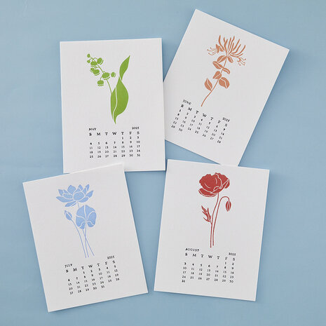 Spellbinders Florals Through the Year BetterPress Plates Bundle (BD-0910) Spellbinders Florals Through the Year BetterPress Plates Bundle (BD-0910)