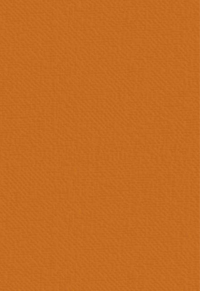 Crafter's Companion Vintage Vegas A4 Linen Card (VV-LINEN-A4) Crafter's Companion Vintage Vegas A4 Linen Card (VV-LINEN-A4)