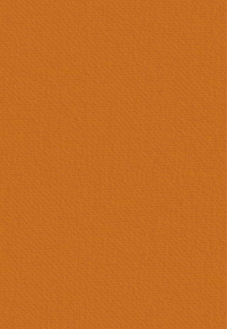 Crafter's Companion Vintage Vegas A4 Linen Card (VV-LINEN-A4) Crafter's Companion Vintage Vegas A4 Linen Card (VV-LINEN-A4)