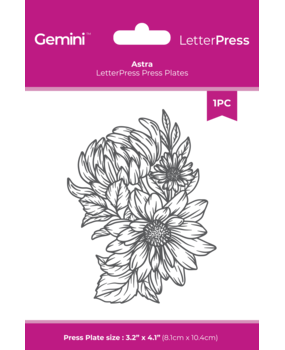 Crafter's Companion LetterPress Press Plate Astra (CC-LP-PP-AST)