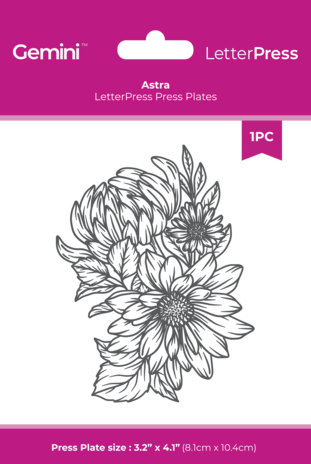 Crafter's Companion LetterPress Press Plate Astra (CC-LP-PP-AST) Crafter's Companion LetterPress Press Plate Astra (CC-LP-PP-AST)