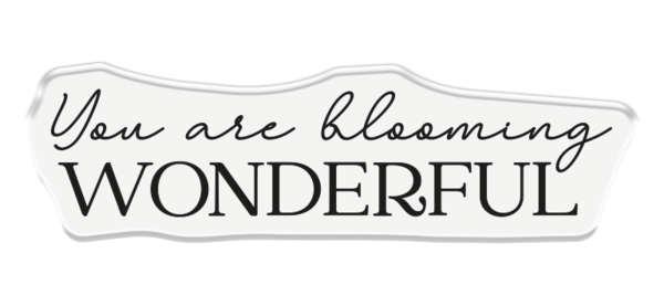 Crafter's Companion 3D Embossing Folders, Dies and Stamps Blooming Florals (CC-3DEF4-MD-STP-BLF)