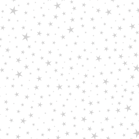 Crafter's Companion Crystal Visions 8x8 Inch Luxury Foiled Acetate (SD-CV-LUXF-ACE8)