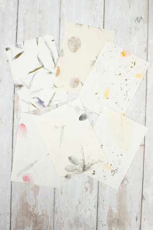 Crafter's Companion Floral 5x7 Inch Handmade Paper (CC-PAD5X7-FHMP) Crafter's Companion Floral 5x7 Inch Handmade Paper (CC-PAD5X7-FHMP)