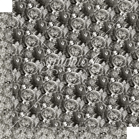 Graphic 45 Curiouser & Curiouser 12x12 Inch Collection Pack (4502937)