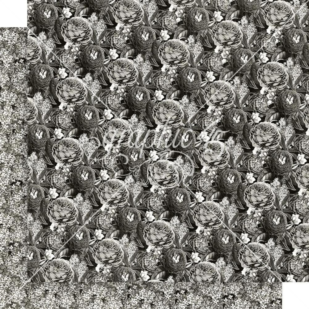 Graphic 45 Curiouser & Curiouser 8x8 Inch Collection Pack (4502936)