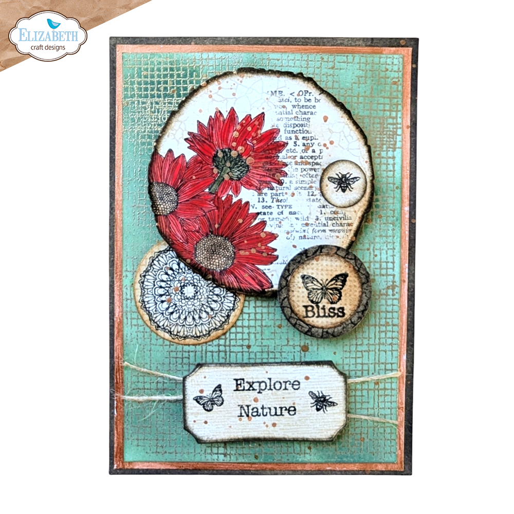 Elizabeth Craft Designs Whispers of Nature Stamps Playful Textures (CS386)