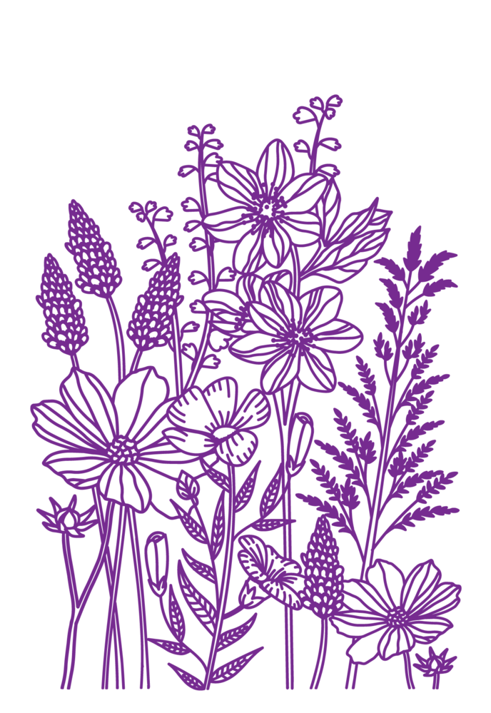 Crafter's Companion Duet ColourBloom 3D Embossing Folder Flora Meadow (CC-EF4-FLOM) Crafter's Companion Duet ColourBloom 3D Embossing Folder Flora Meadow (CC-EF4-FLOM)