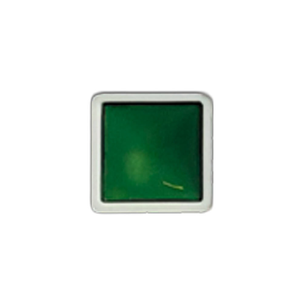 Stamperia Create Happiness Watercolor Refill Leaf Green 0,5ml (KAJC06)