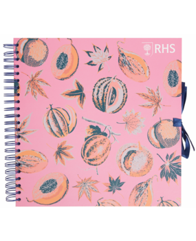 Papermania Melons 12x12 Inch Scrapbook (RHS 101106)