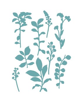 Sizzix Framelits Die by 49 and Market Fine Stems 02 (9pcs) (666810) Sizzix Framelits Die by 49 and Market Fine Stems 02 (9pcs) (666810)