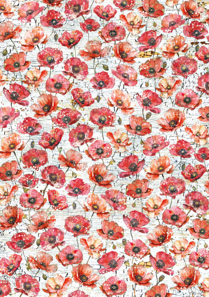 Ciao Bella Majestic Dream A4 Vellum Paper Patterns (6pcs) (CBV023) Ciao Bella Majestic Dream A4 Vellum Paper Patterns (6pcs) (CBV023)