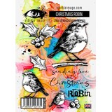 Visible Image Christmas Robin A6 Stamp Set (VIS-CHR-01)