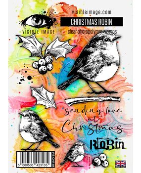 Visible Image Christmas Robin A6 Stamp Set (VIS-CHR-01)