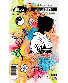 Visible Image Calm Over Chaos A6 Stamp Set (VIS-CAO-01)