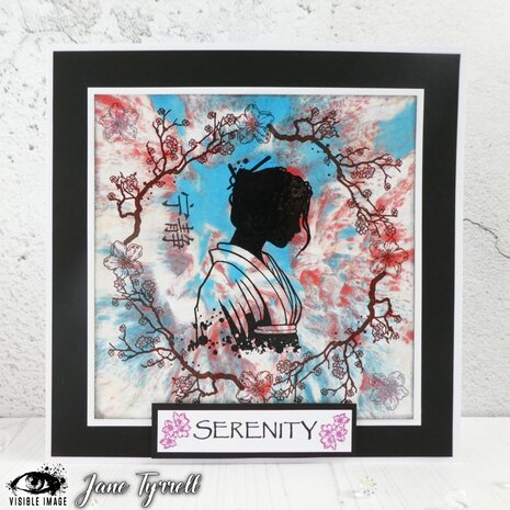 Visible Image Calm Over Chaos A6 Stamp Set (VIS-CAO-01)