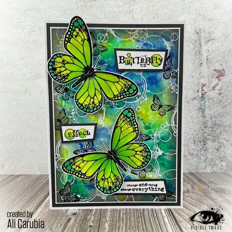 Visible Image Butterfly Effect A5 Stamp Set (VIS-BEF-01)