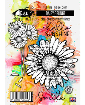 Visible Image Daisy Grunge A6 Stamp Set (VIS-DAG-01)