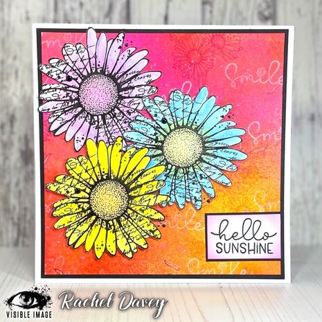 Visible Image Daisy Grunge A6 Stamp Set (VIS-DAG-01) Visible Image Daisy Grunge A6 Stamp Set (VIS-DAG-01)