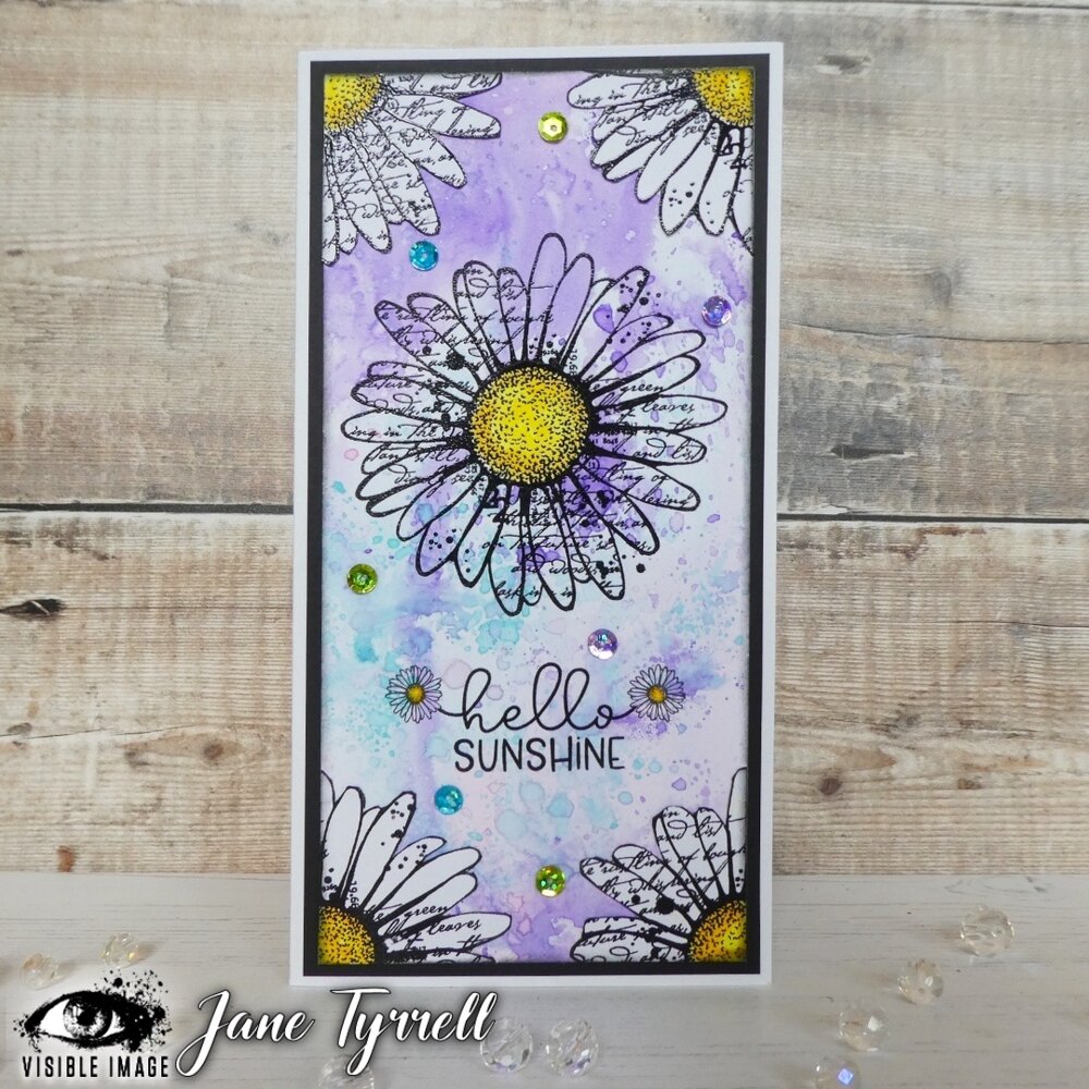 Visible Image Daisy Grunge A6 Stamp Set (VIS-DAG-01) Visible Image Daisy Grunge A6 Stamp Set (VIS-DAG-01)