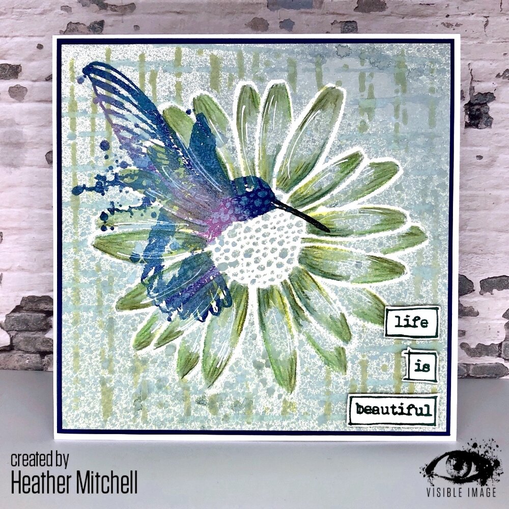 Visible Image Daisy Daisy 6x6 Inch Stencil (VIS-DAI-03)