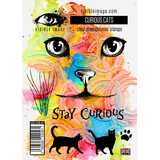 Visible Image Curious Cats A6 Stamp Set (VIS-CUS-01)