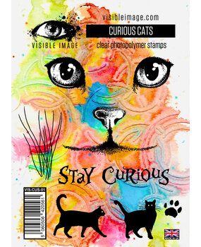 Visible Image Curious Cats A6 Stamp Set (VIS-CUS-01)