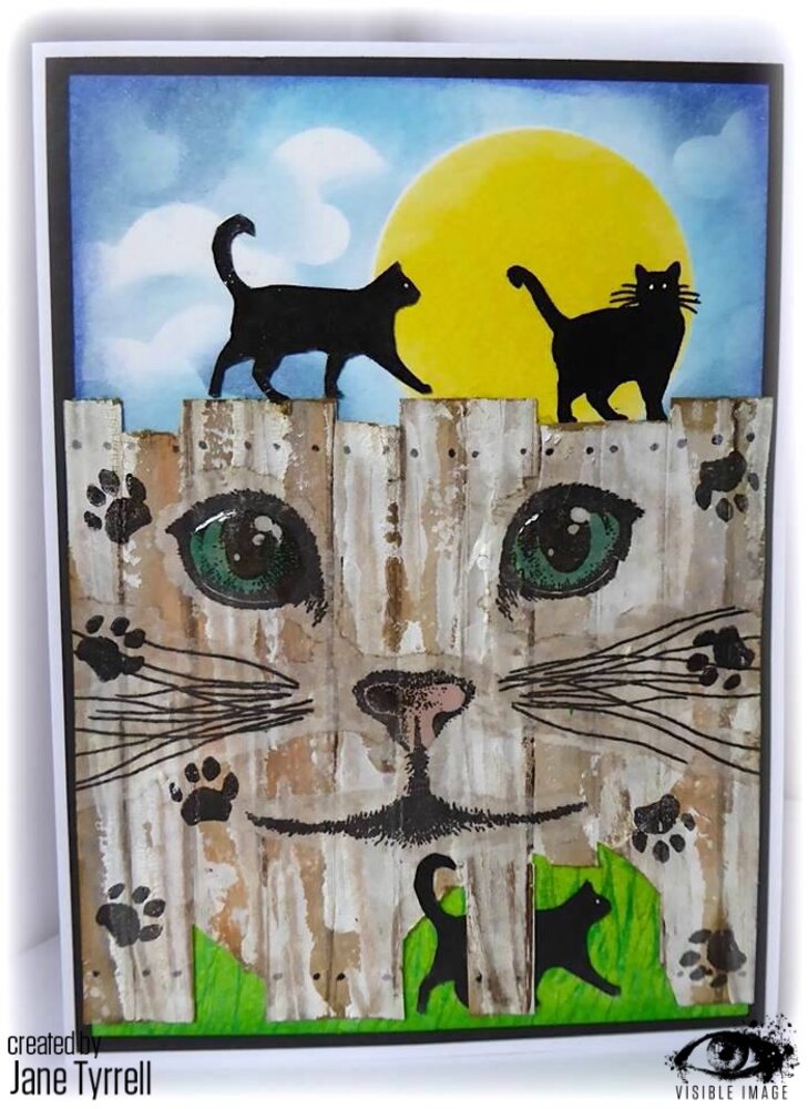 Visible Image Curious Cats A6 Stamp Set (VIS-CUS-01) Visible Image Curious Cats A6 Stamp Set (VIS-CUS-01)