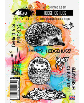 Visible Image Hedgehog Hugs A6 Stamp Set (VIS-HEH-01)