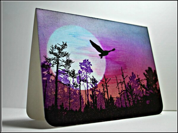 Visible Image Into The Woods A5 Stamp Set (VIS-ITW-01) Visible Image Into The Woods A5 Stamp Set (VIS-ITW-01)