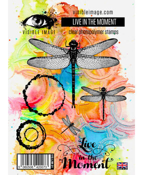 Visible Image Live In The Moment A6 Stamp Set (VIS-LIM-01)
