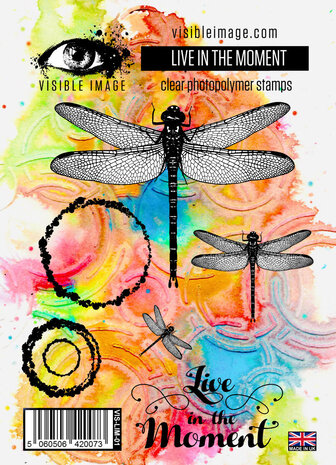 Visible Image Live In The Moment A6 Stamp Set (VIS-LIM-01) Visible Image Live In The Moment A6 Stamp Set (VIS-LIM-01)