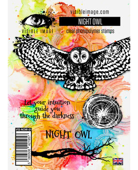 Visible Image Night Owl A6 Stamp Set (VIS-NOW-01)